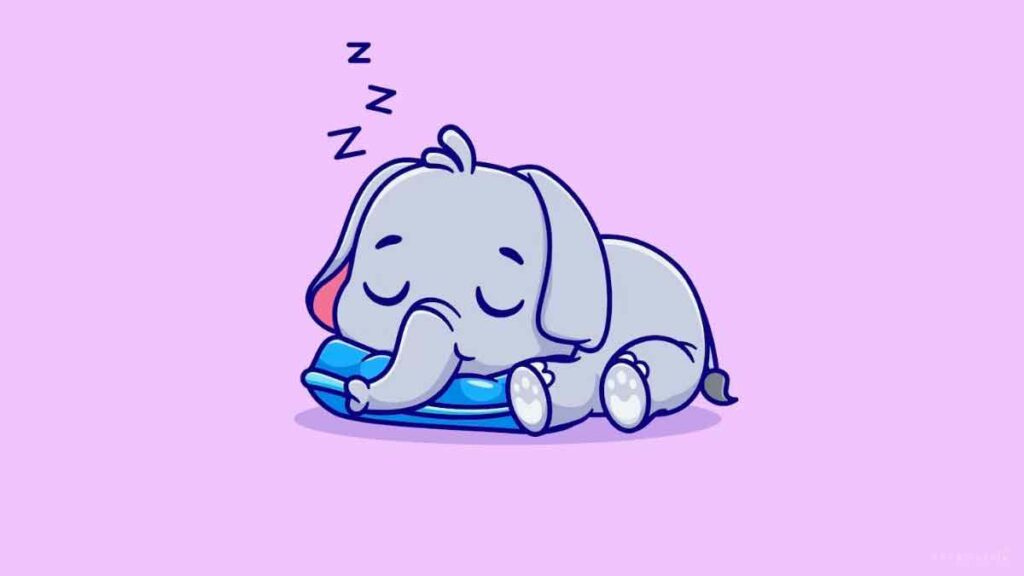 baby elephant sleeping