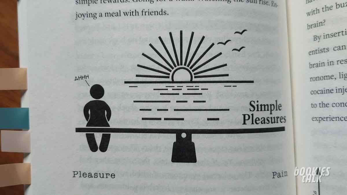 Pain and Pleasure Diagram Image 4